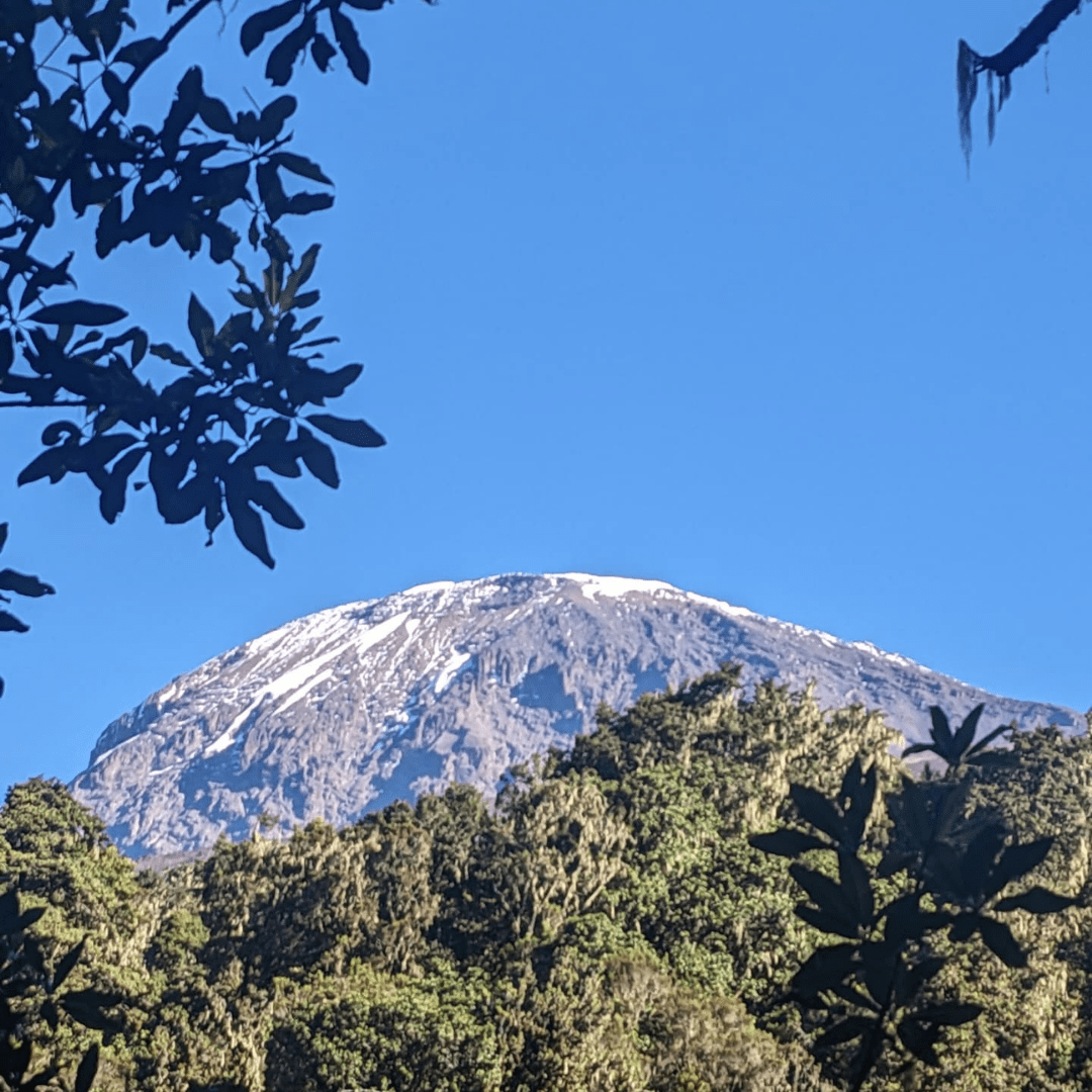 Tarangire National Park