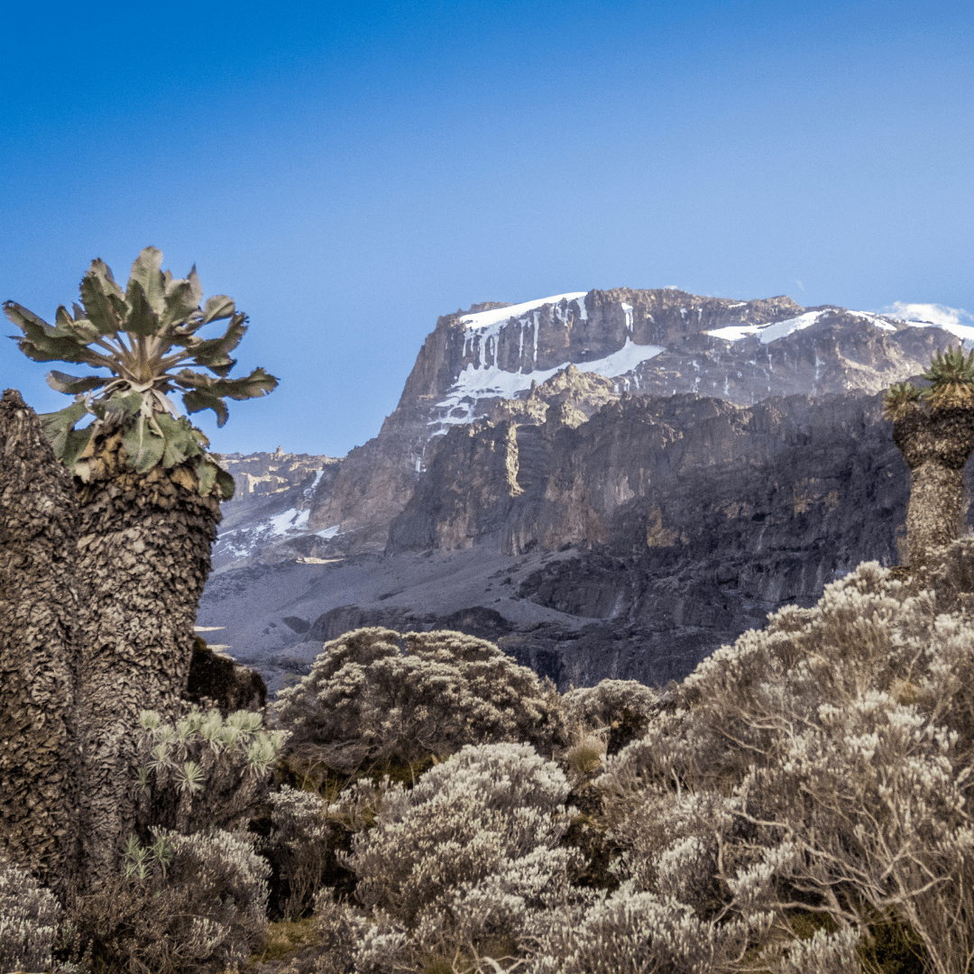 Tarangire National Park
