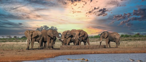 Tarangire National Park
