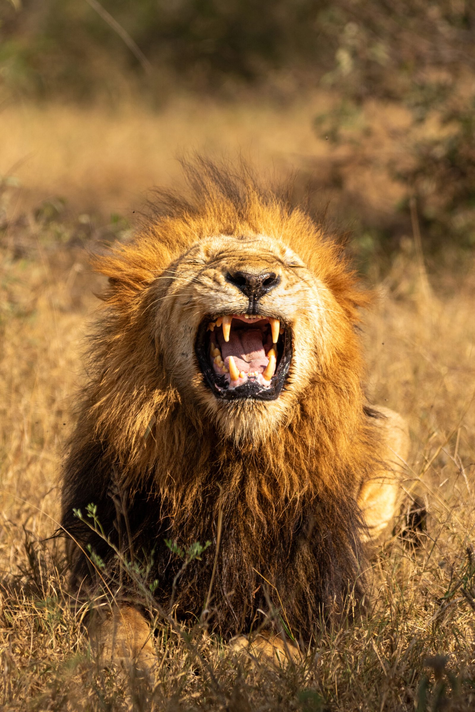 Tarangire National Park