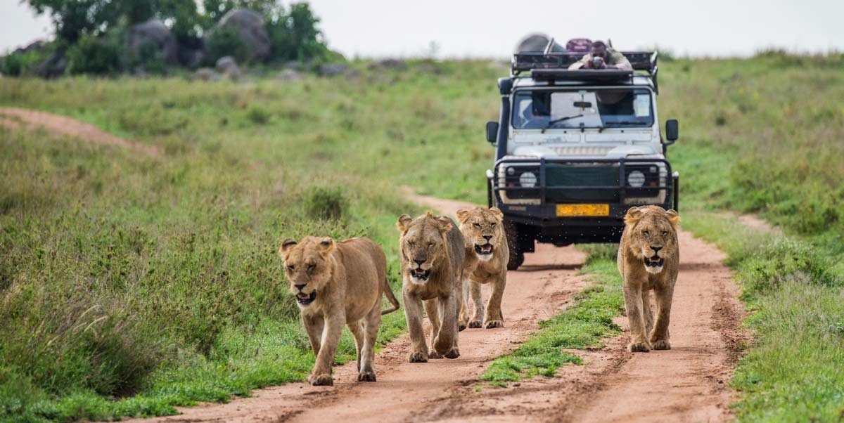 Great Migration