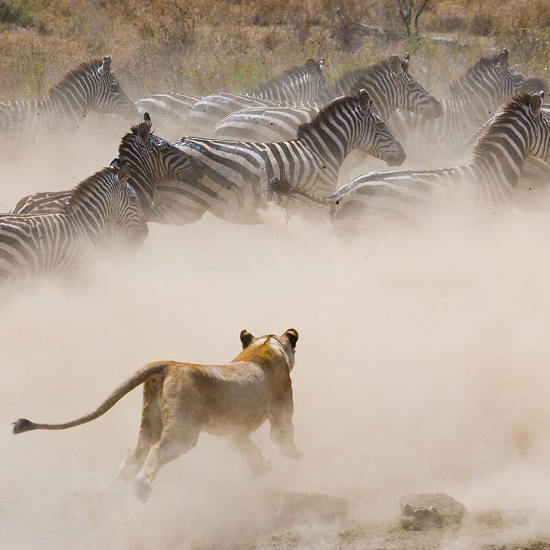 Serengeti National Park